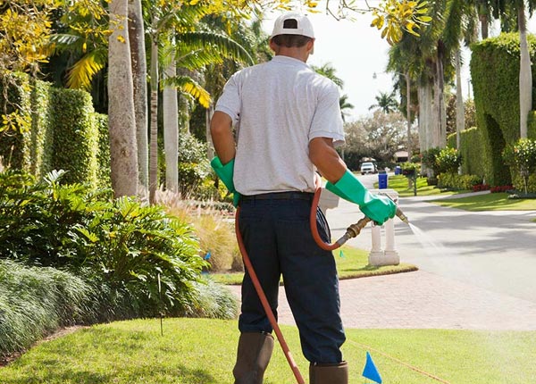 About Mount Juliet TN Pest Control Pros